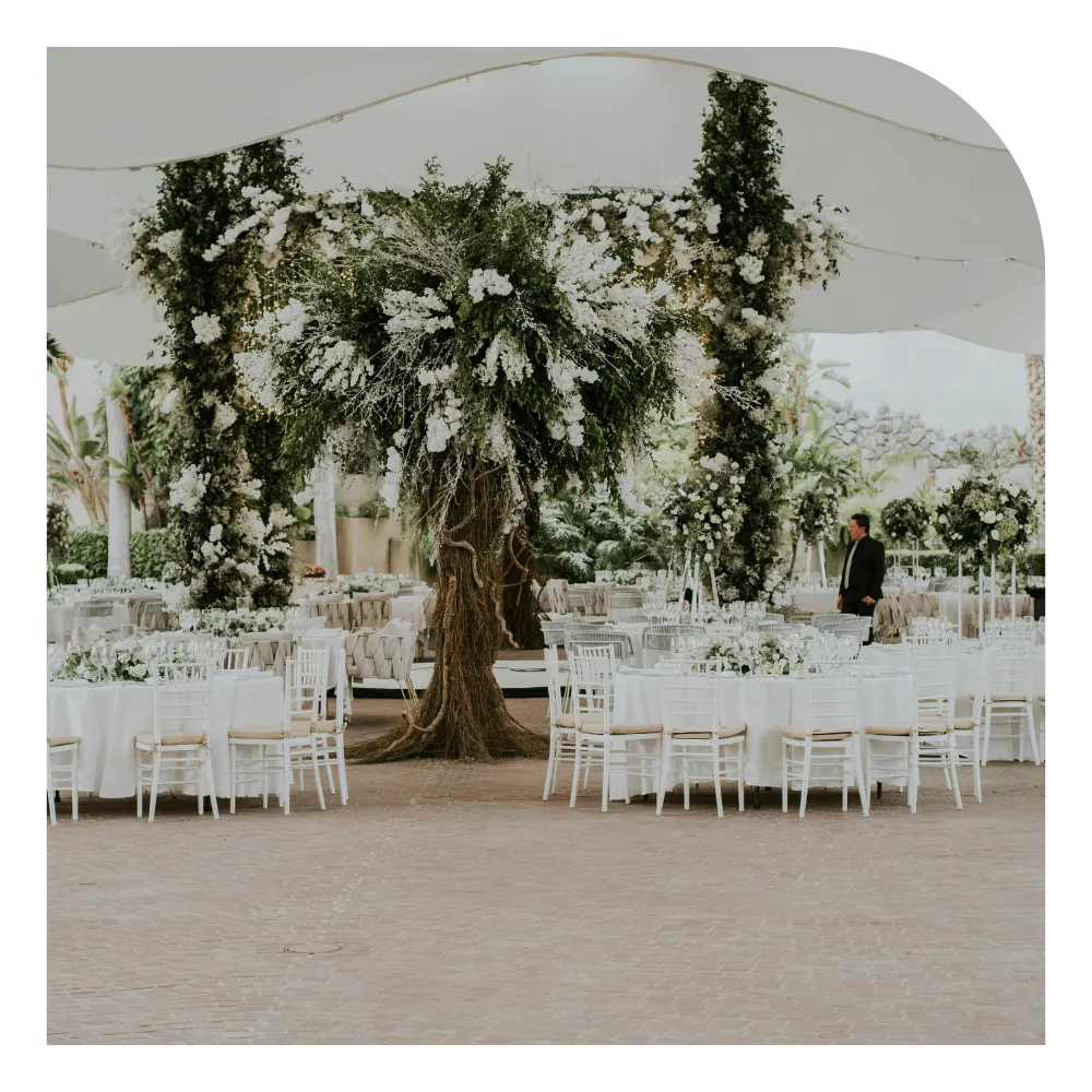 Professional Wedding Planner