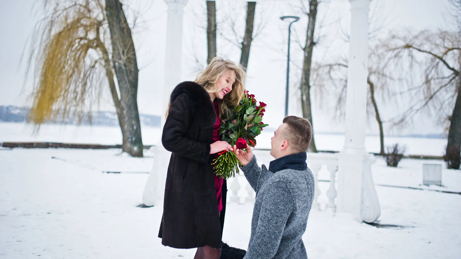 Proposal planner